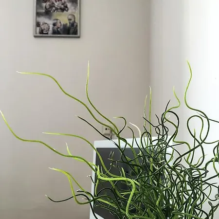 Apartment Cosy Flat *