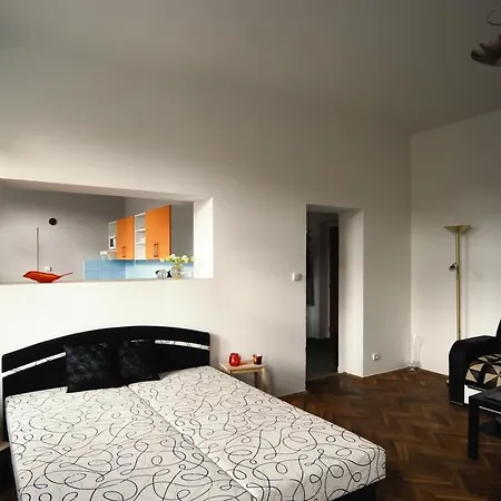 Cosy Flat Apartment Pisek (South Bohemian)